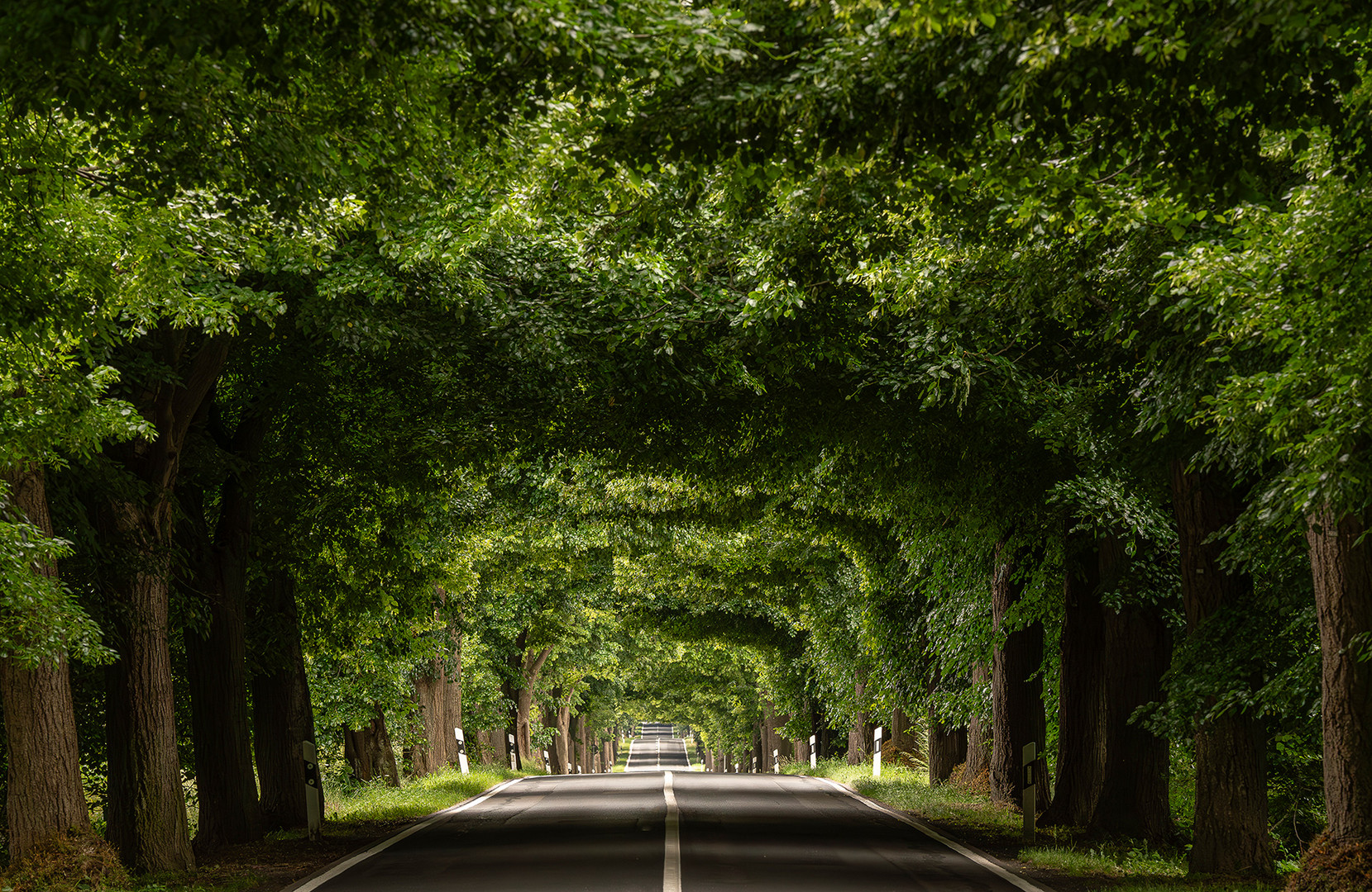 Tunnelblick