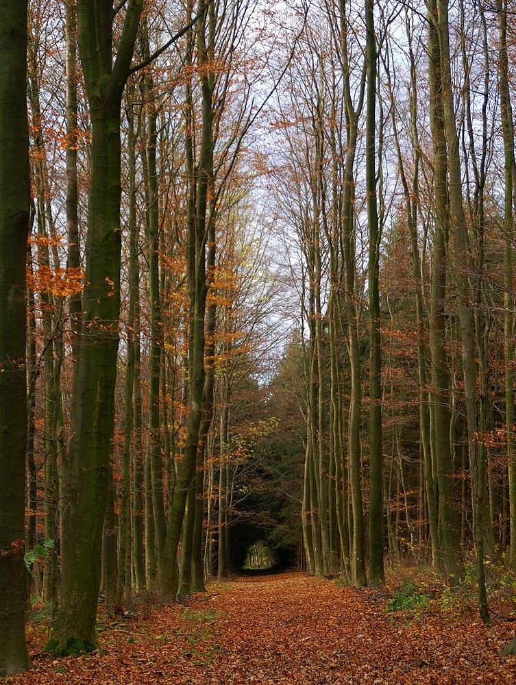 Tunnelblick !