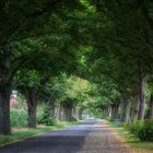 Tunnelblick