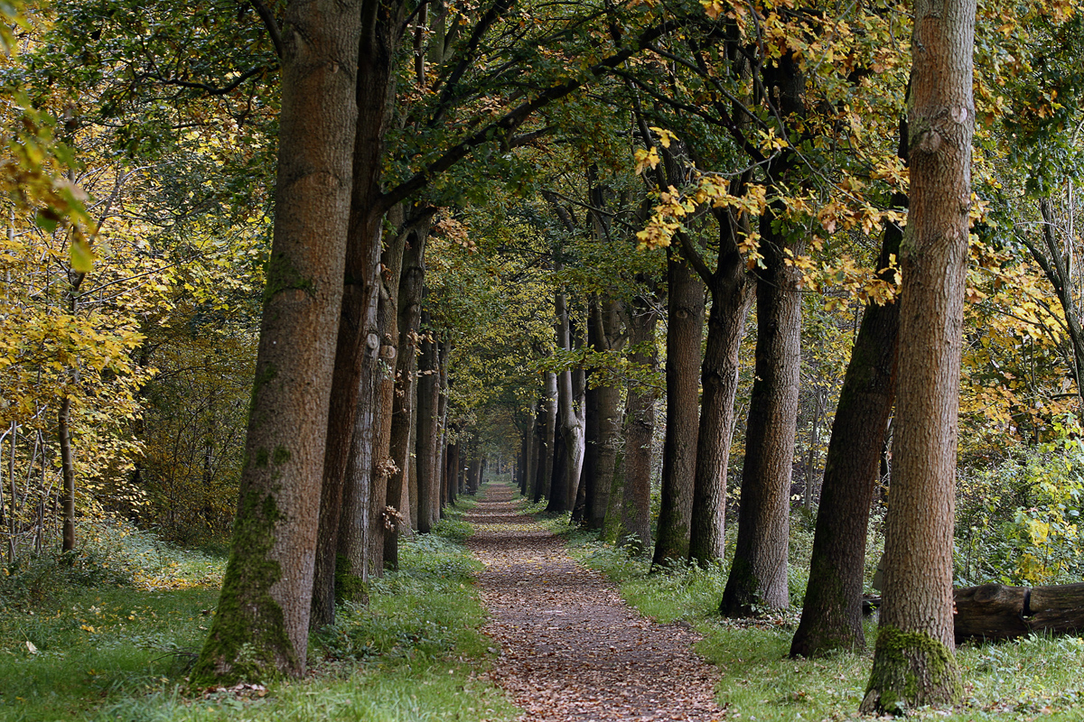 Tunnelblick