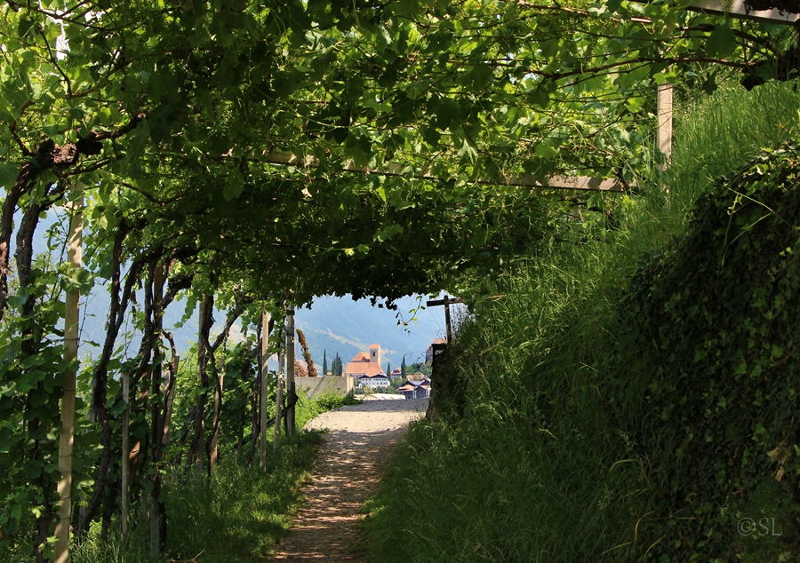 Tunnelblick