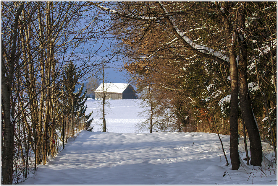 Tunnelblick