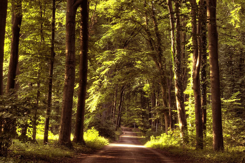 Tunnelblick