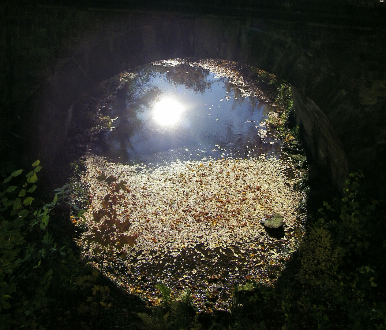 Tunnelblick á la Spitzweg