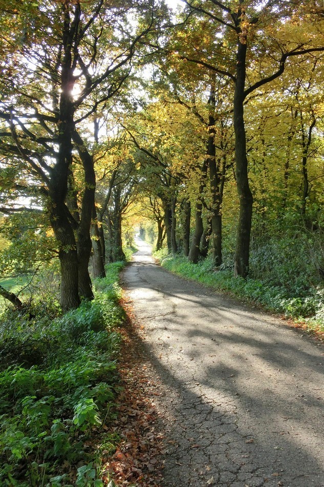 Tunnelblick auf den Herbst