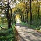 Tunnelblick auf den Herbst