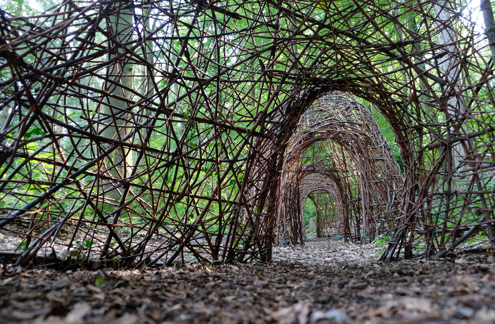 Tunnel*Blick