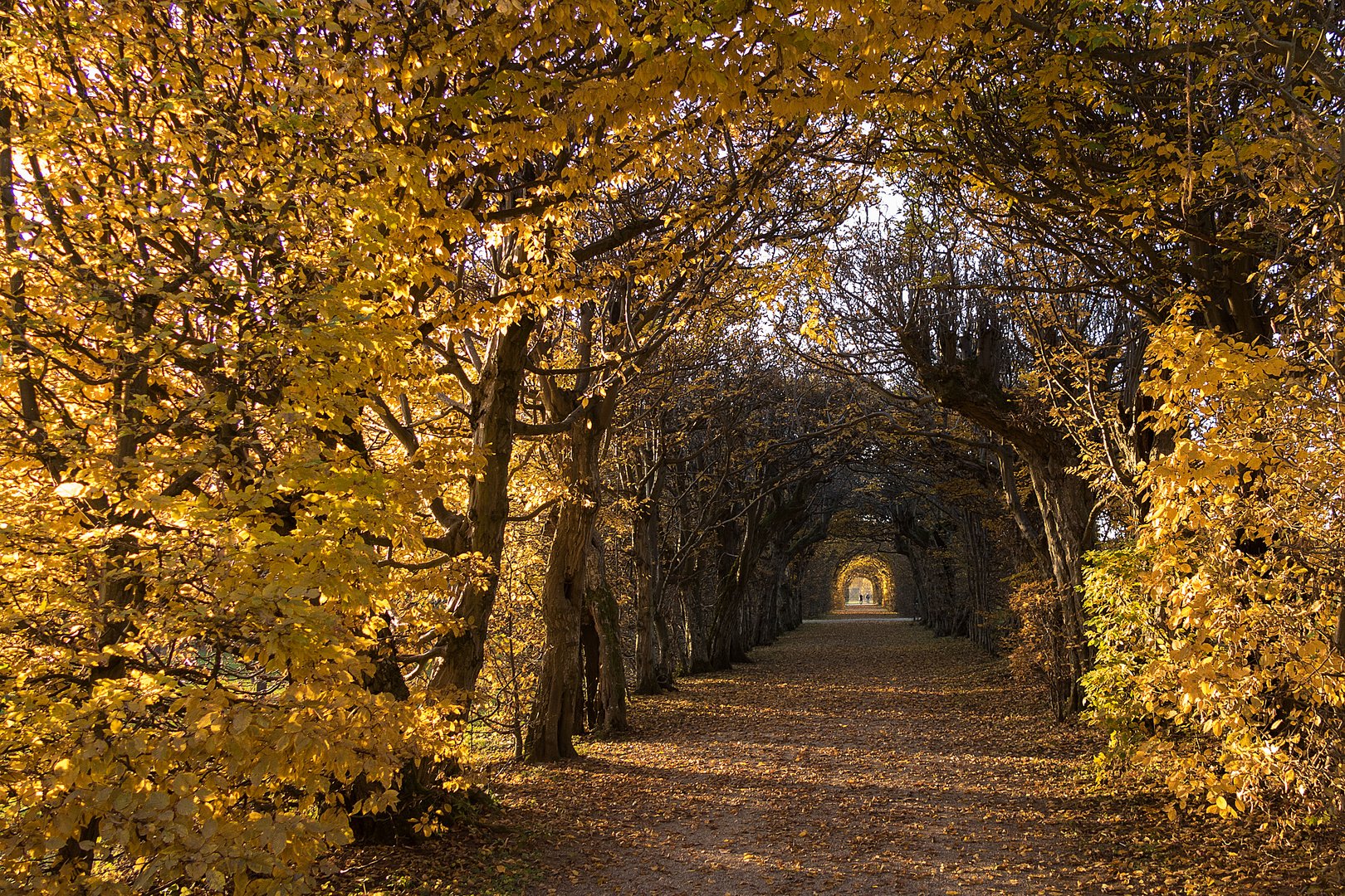 Tunnelblick