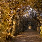 Tunnelblick