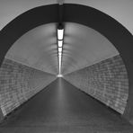 /  TunnelBlick  \