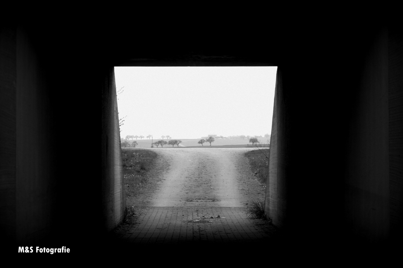 Tunnelblick