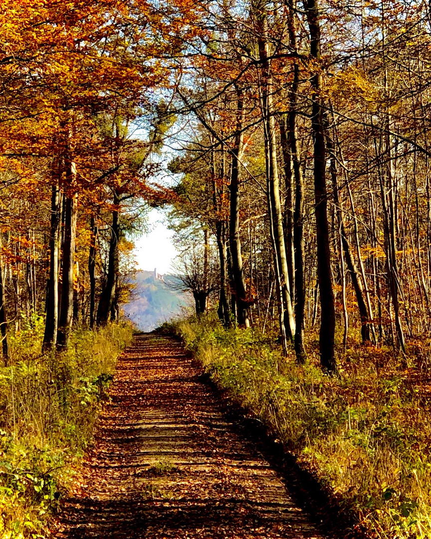 Tunnelblick...