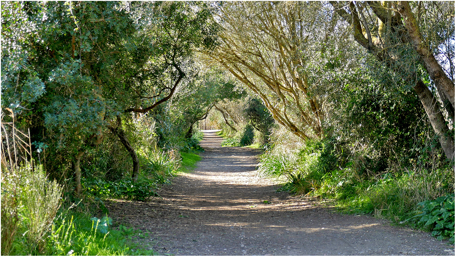 Tunnelblick