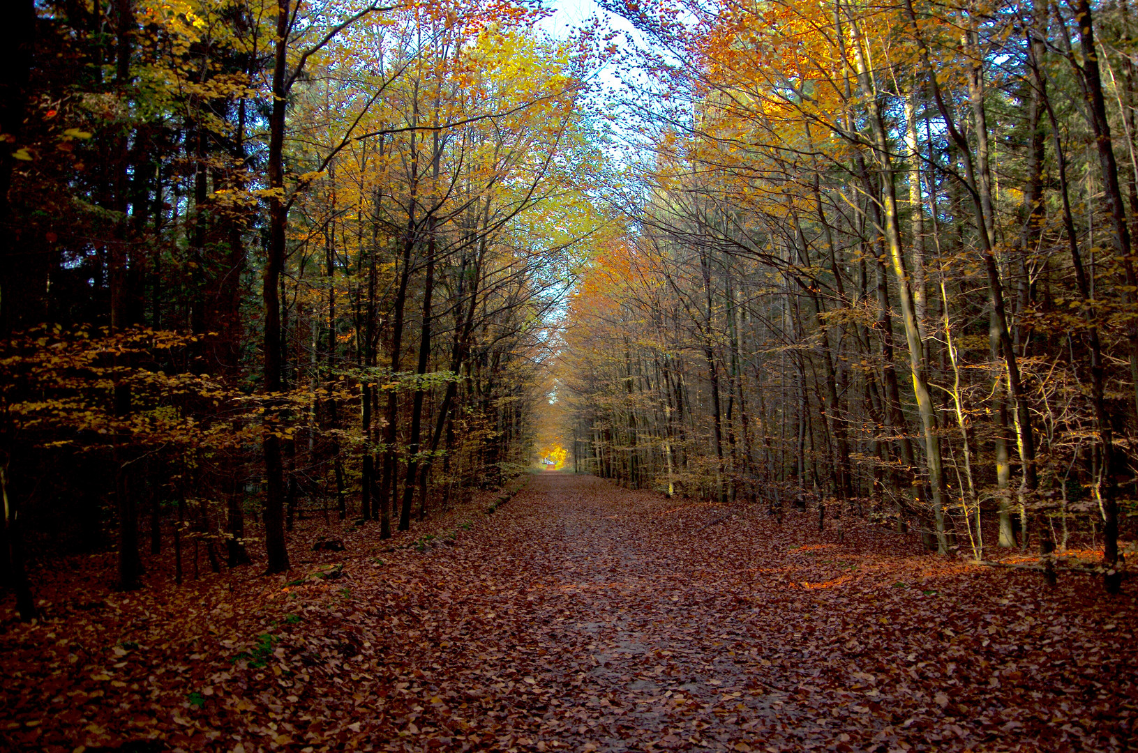 Tunnelblick