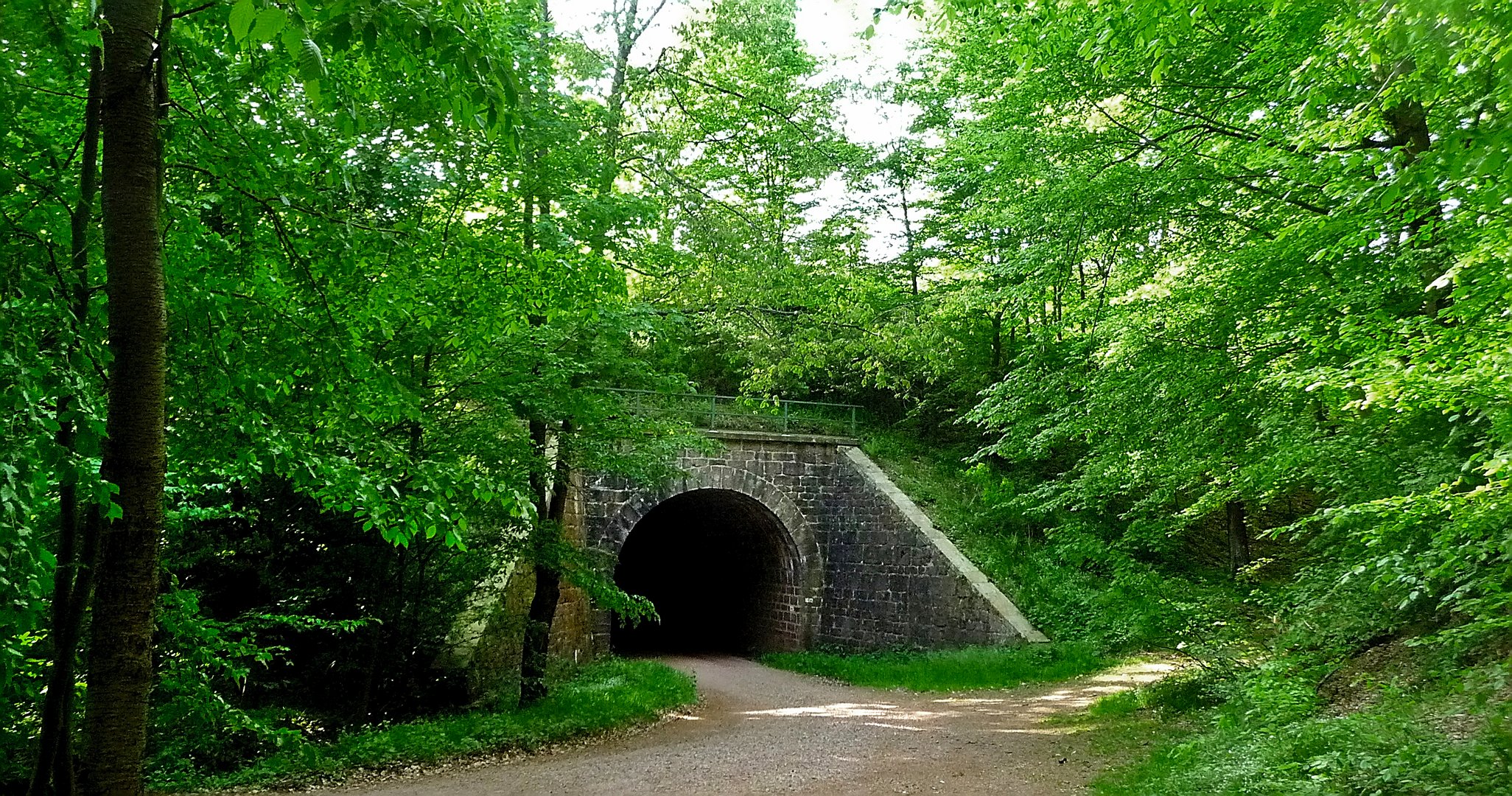 Tunnelblick im Frühling