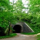 Tunnelblick im Frühling