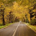 Tunnelblick im Herbstgewand