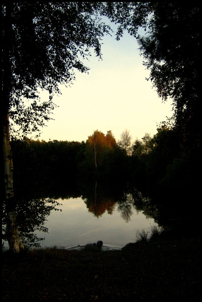 Tunnelblick ins Leben