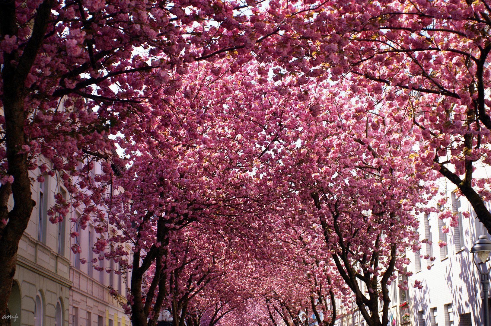 Tunnelblick: La vie en rose 