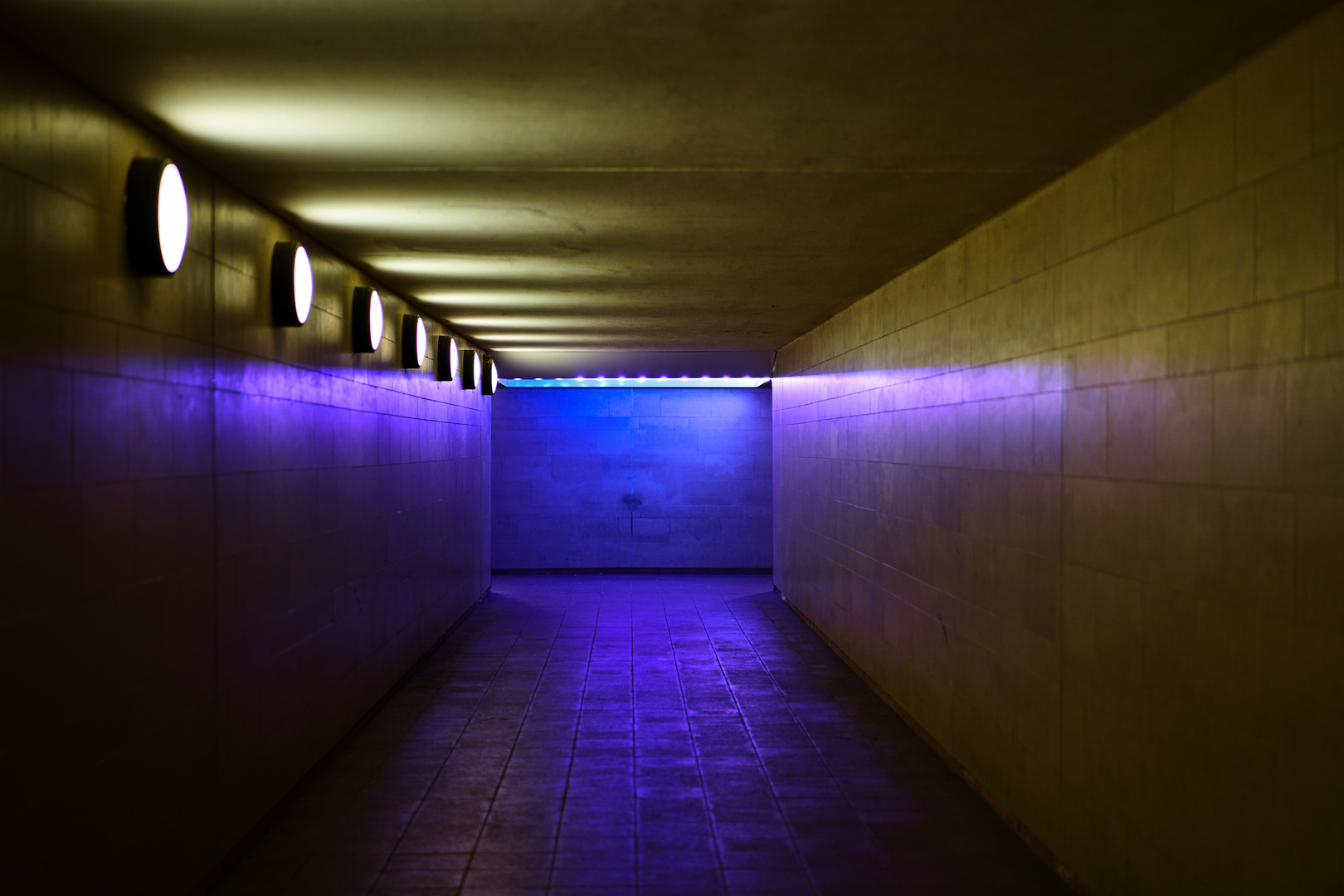 Tunnelblick mit violettem Einschlag