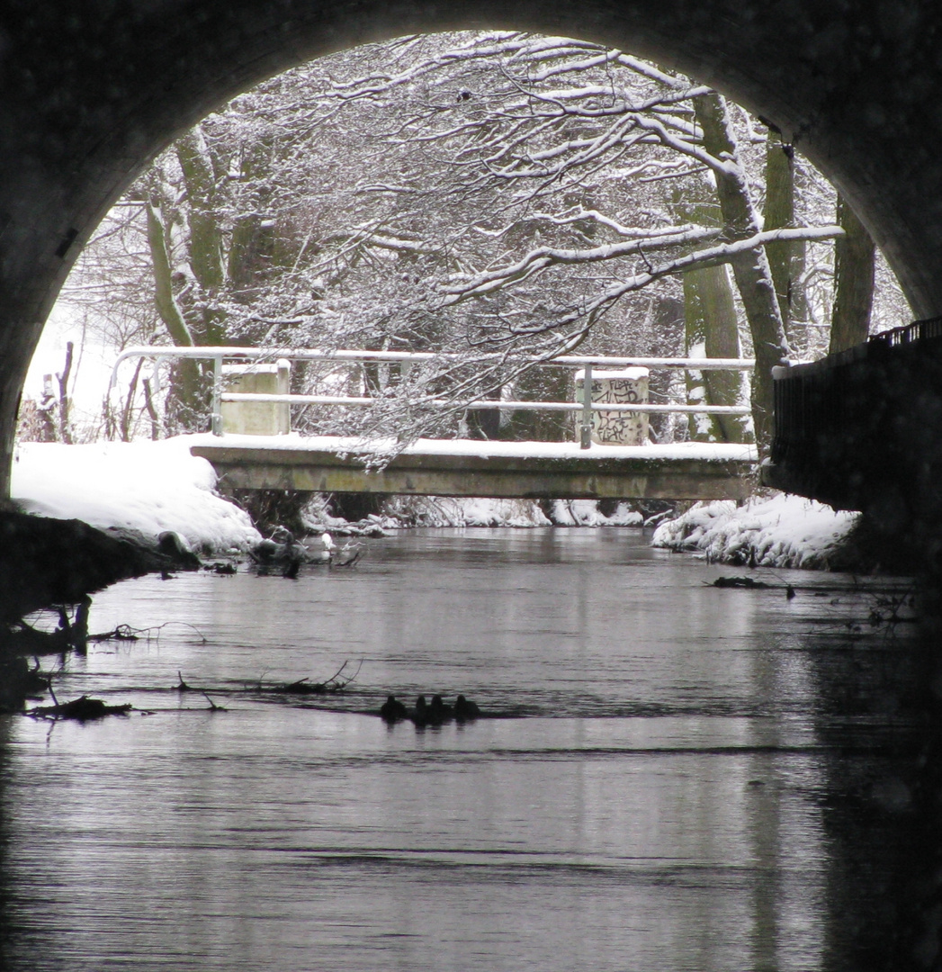 "Tunnelblick " reloadet