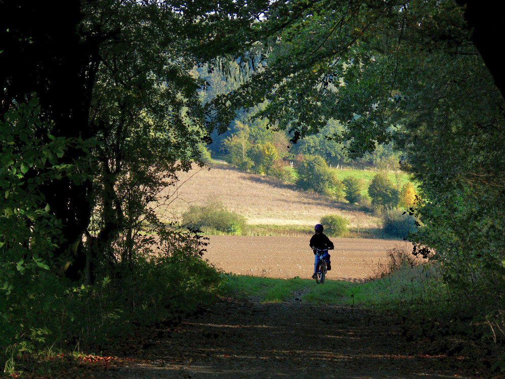 Tunneleinfahrt