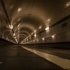 Tunnel_Frosch