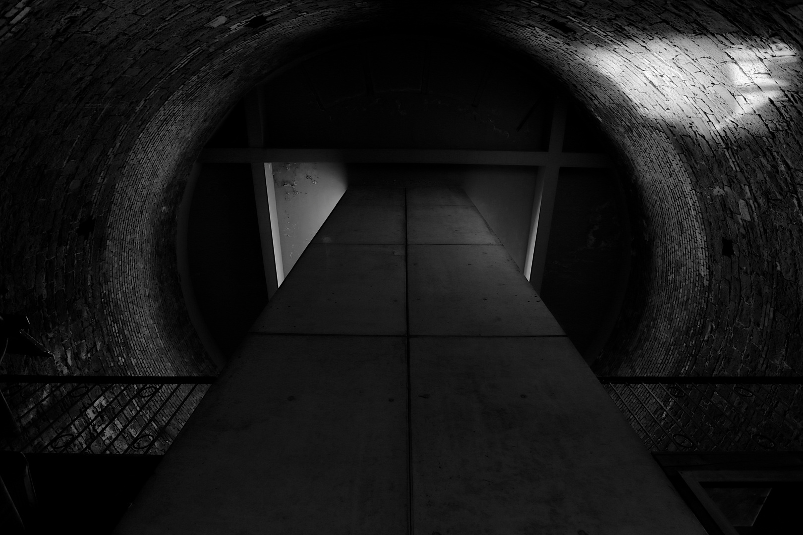 tunnelratten