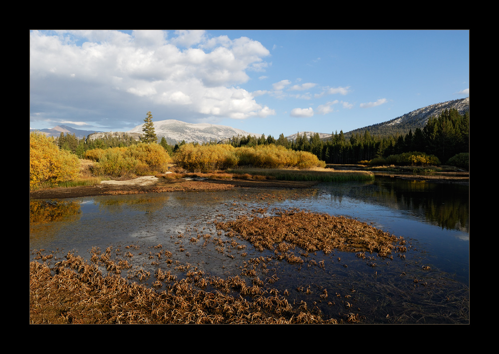 [ Tuolumne Meadows ]