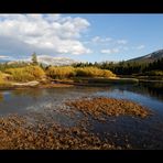 [ Tuolumne Meadows ]