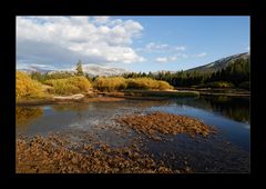 [ Tuolumne Meadows ]