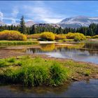 [ Tuolumne Meadows ]