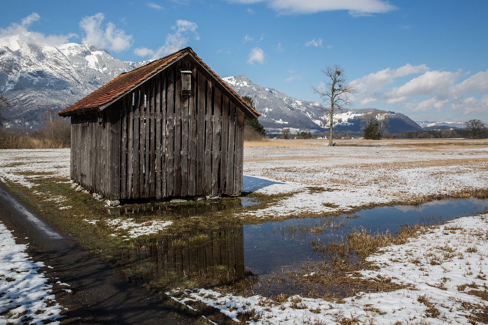 Turbahütte Ruggellerriet