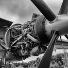 Turboprop-Triebwerk Rolls-Royce Tyne Mk.22