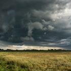 Turbulenzen am Deich