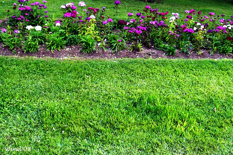 Turf and flowers