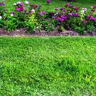 Turf and flowers