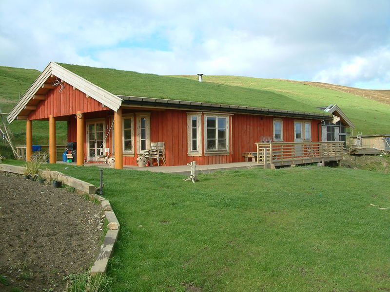 turf roof