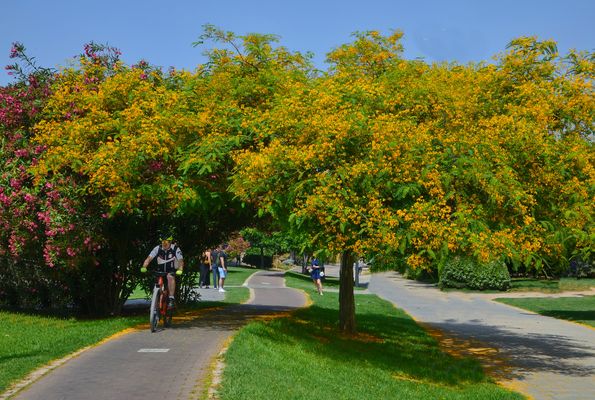 Turia Park Biking
