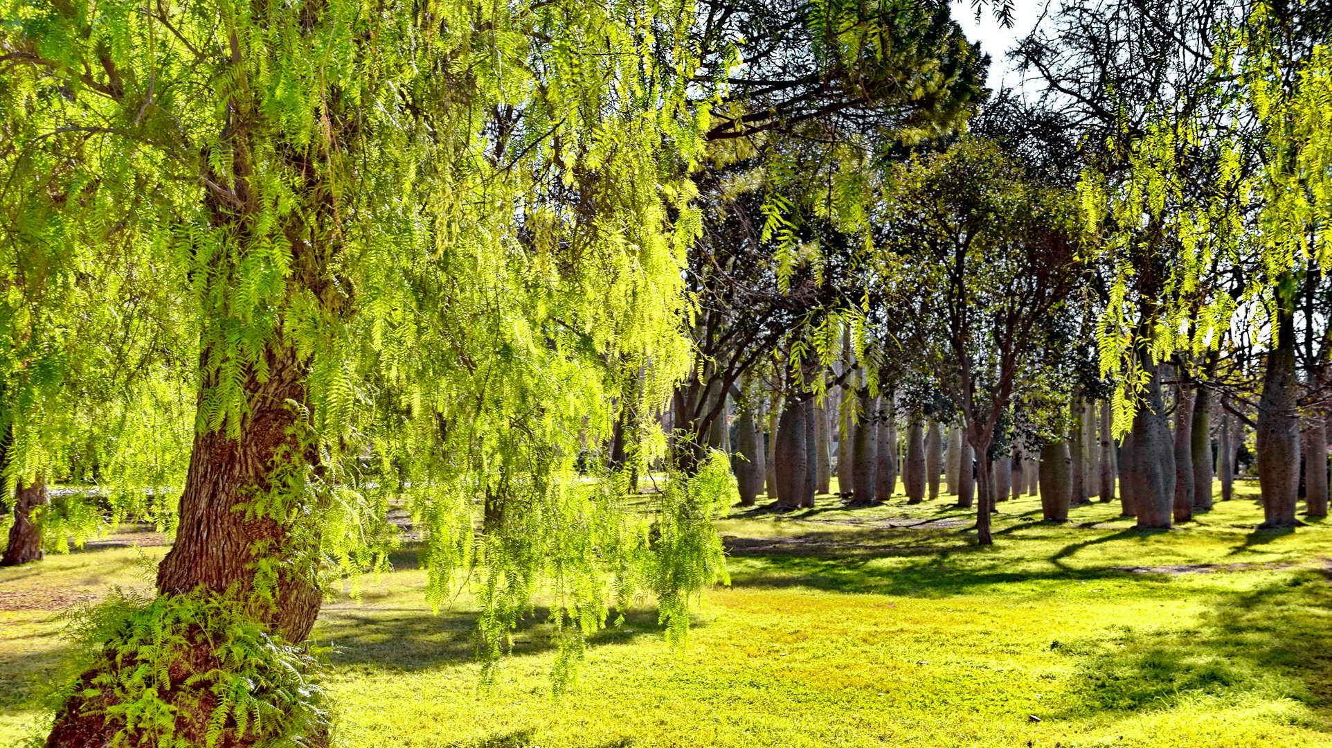 Turia Park, die grüne Lunge