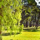 Turia Park, die grüne Lunge