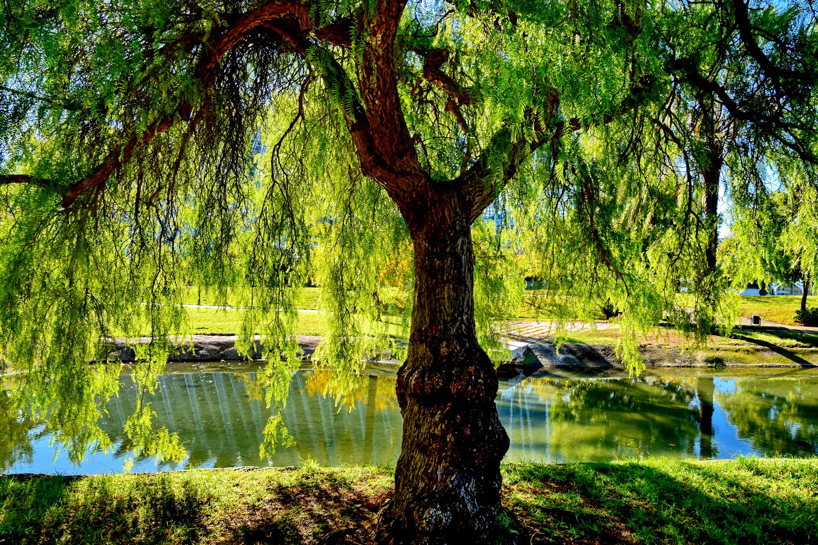 Turia Park im Herbst