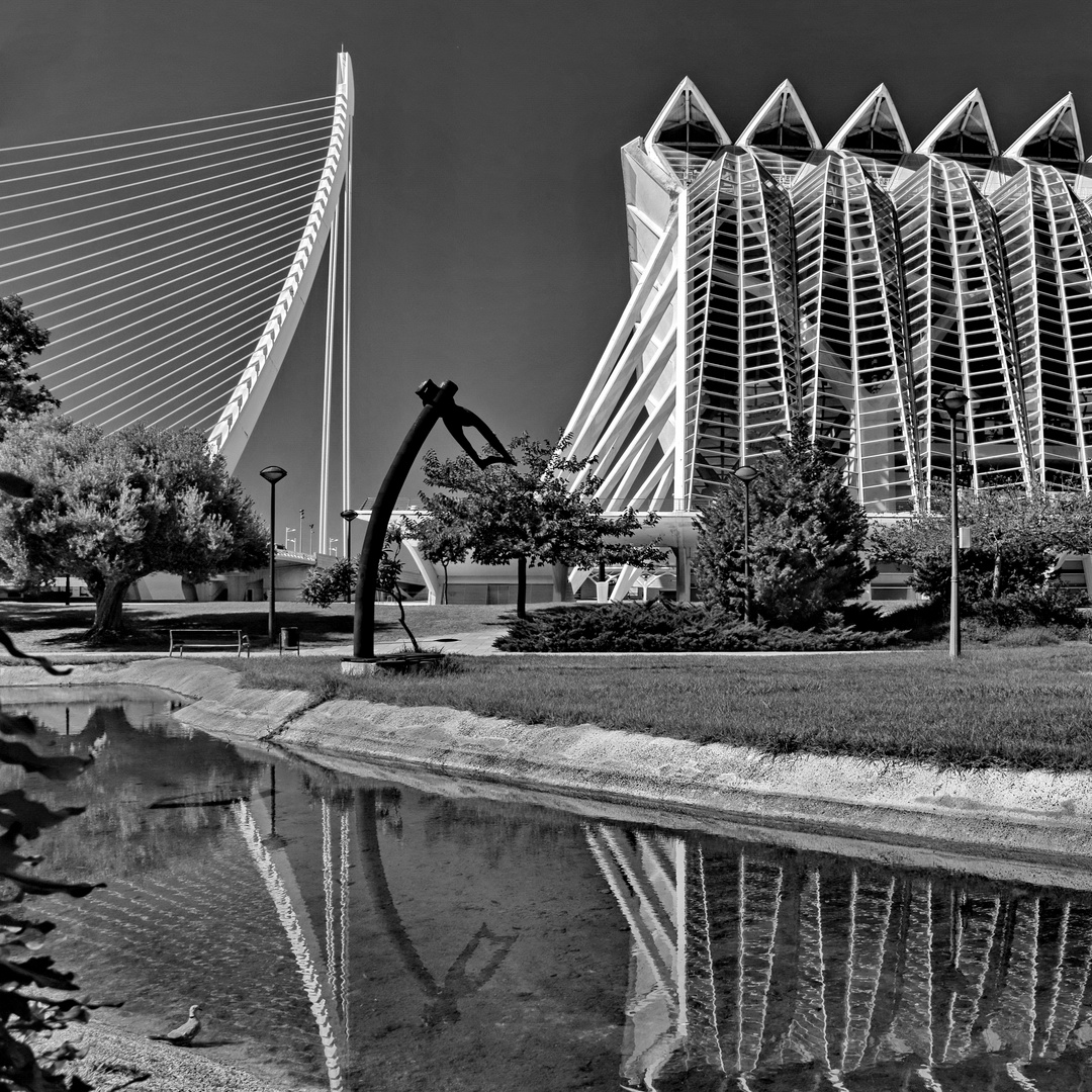 Turia Park in Valencia