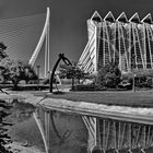 Turia Park in Valencia