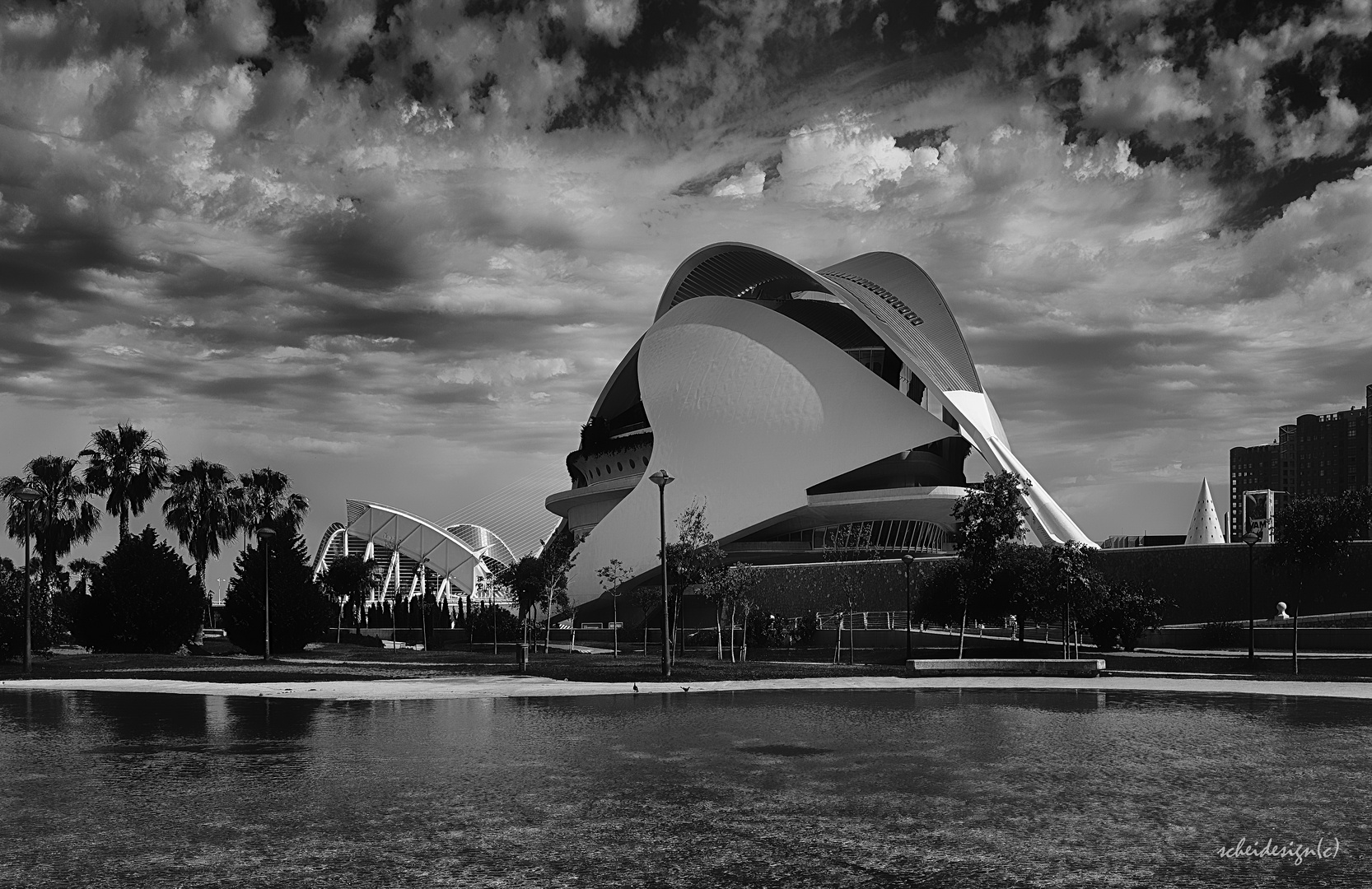 Turia Park in Valencia I