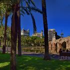 Turia Park - Puente del Mar