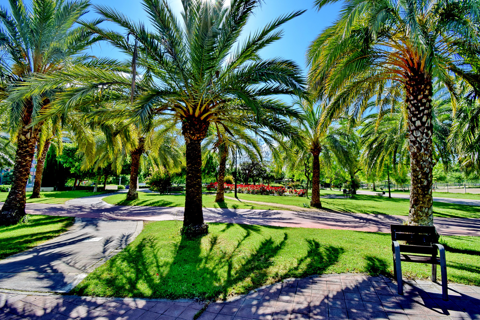 Turia Park unter Palmen