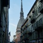 Turin (VI)