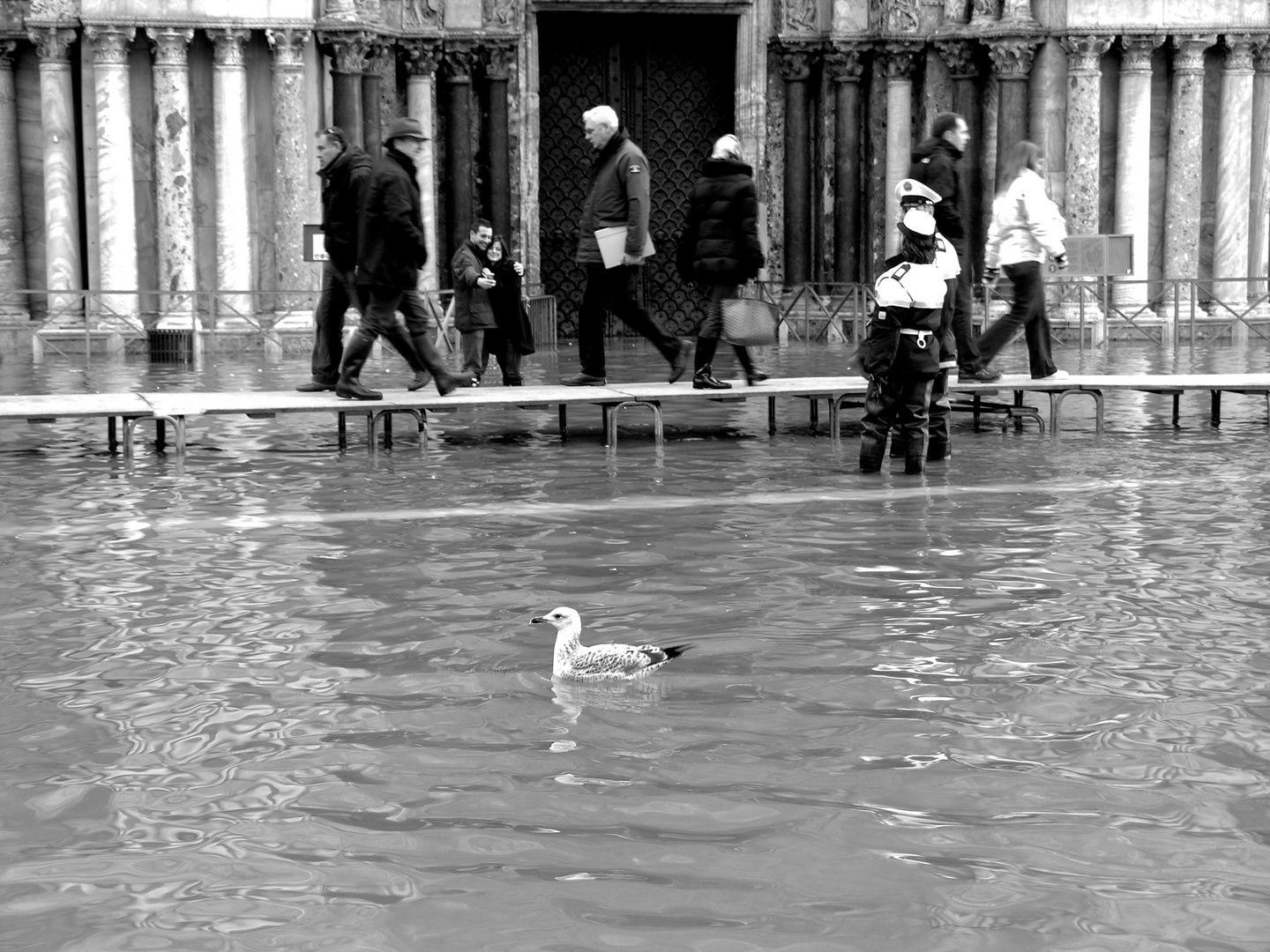 Turista a San Marco