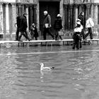 Turista a San Marco